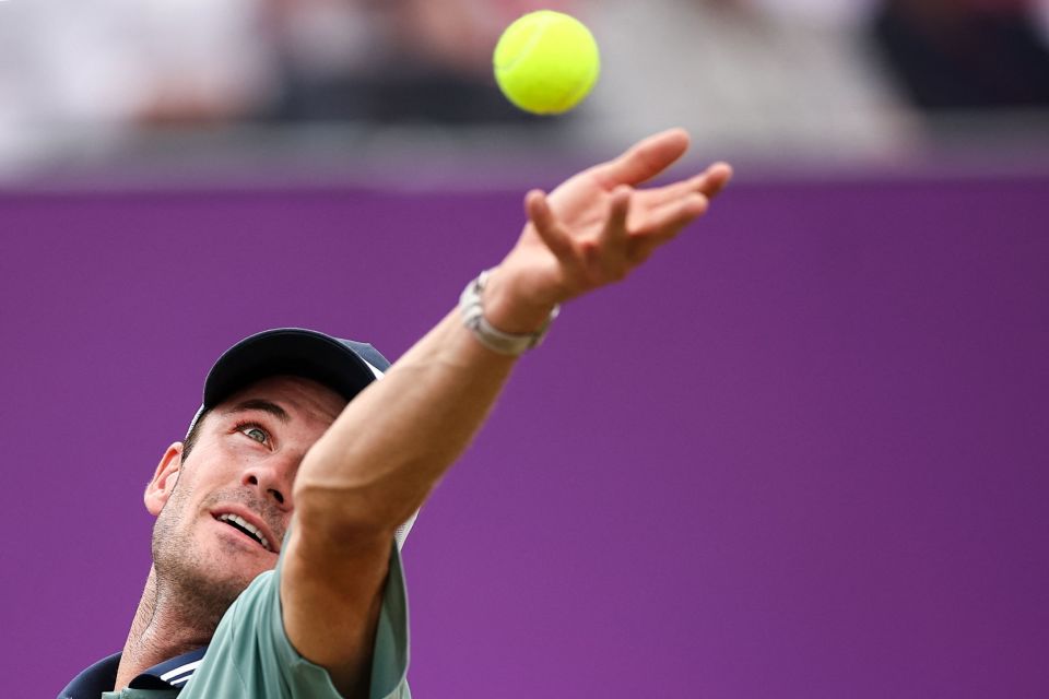 斑马军团 斑马军团